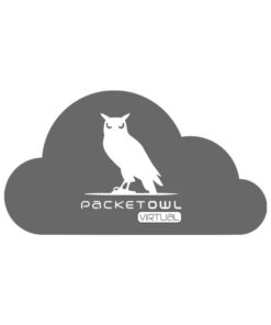 PacketOwlVirtual - Logo