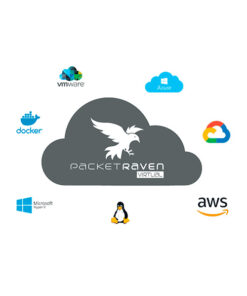 Virtual PacketRaven