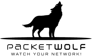 NEOXPacketWolf - FPGA-Based Advanced Packet Processing Appliance