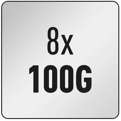 8x 100G Ports