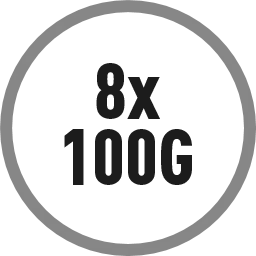 Bis zu 8x 100 Gbps