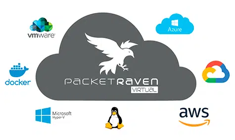 PacketRavenVirtual - Virtueller Netzwerk-TAP - vTAP