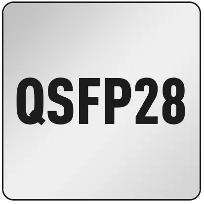 QSFP28 Port(s)