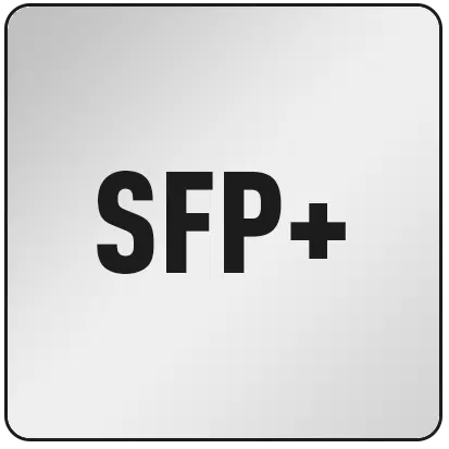 SFP+ Port(s)